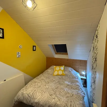 A Leo Saint-Léonard-des-Bois