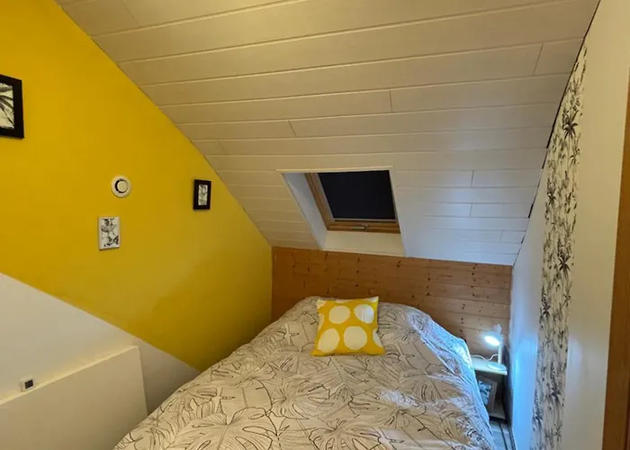 à Léo Saint-Léonard-des-Bois